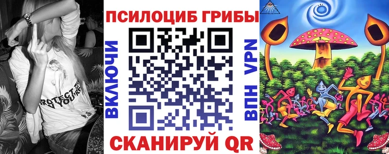 как найти   мега зеркало  Псилоцибиновые грибы Psilocybe  Алушта 